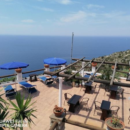 Hotel Punto Azzurro Forio di Ischia Εξωτερικό φωτογραφία