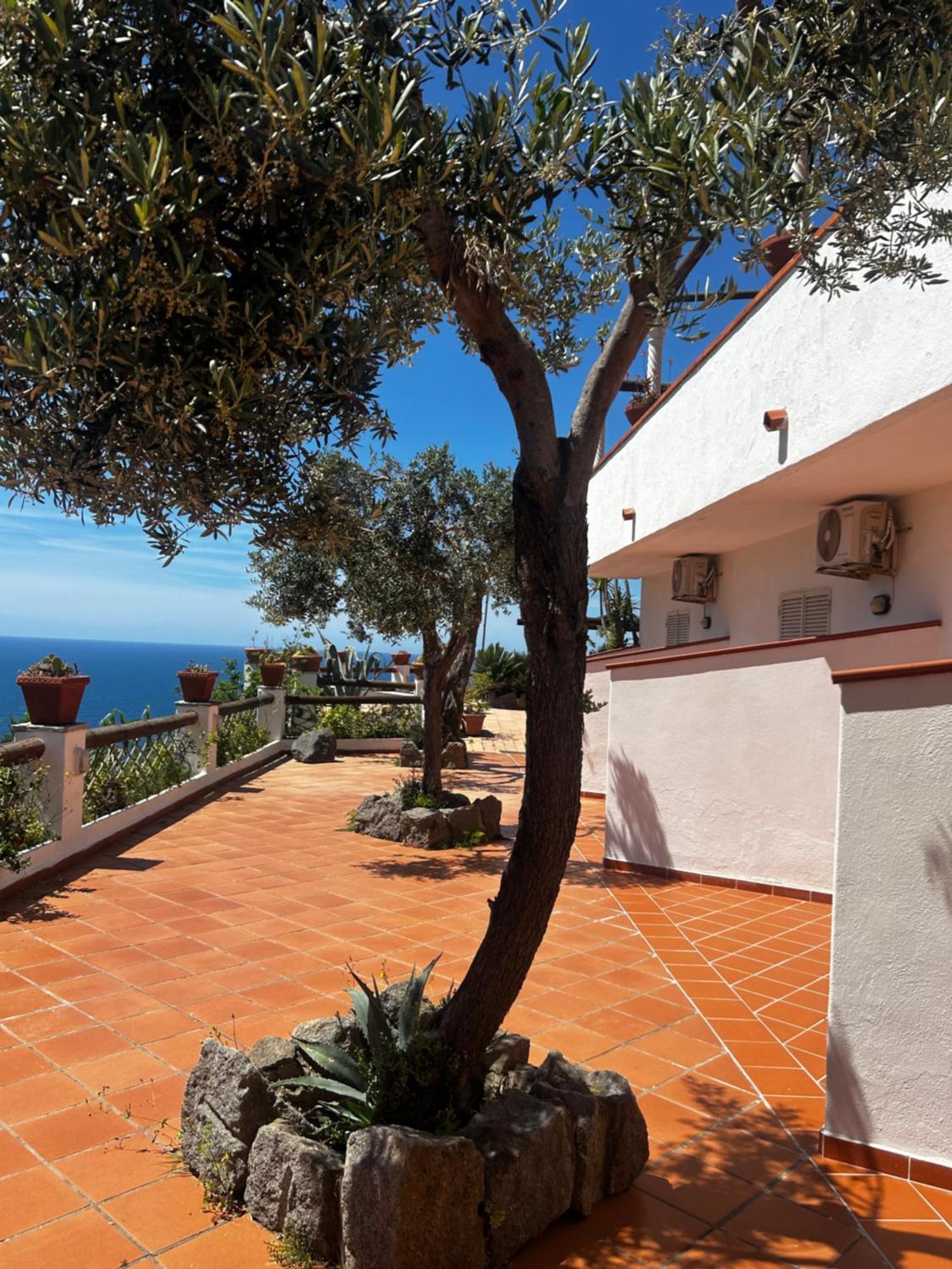 Hotel Punto Azzurro Forio di Ischia Εξωτερικό φωτογραφία