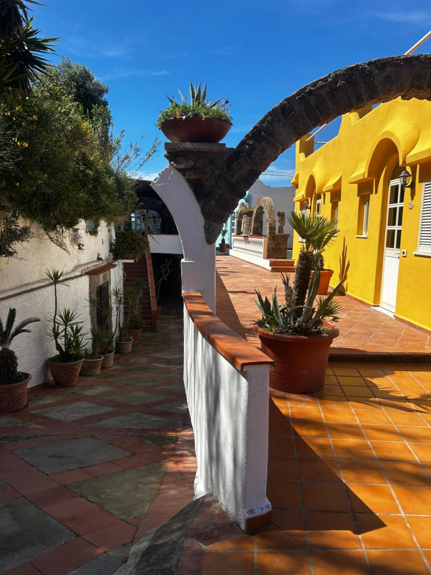 Hotel Punto Azzurro Forio di Ischia Εξωτερικό φωτογραφία