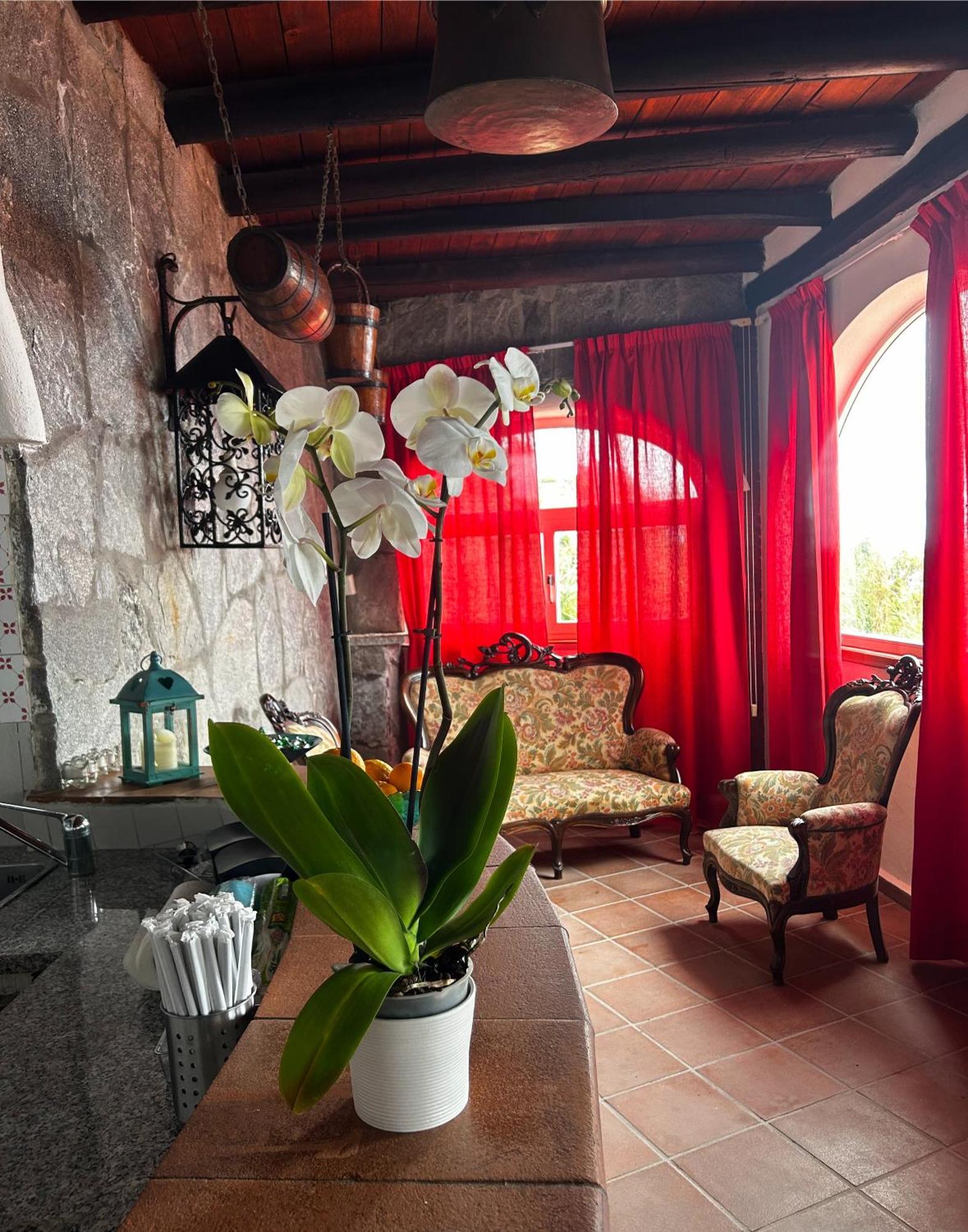 Hotel Punto Azzurro Forio di Ischia Εξωτερικό φωτογραφία