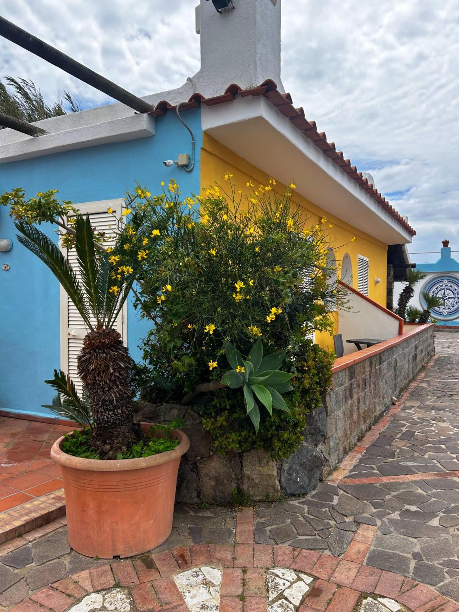 Hotel Punto Azzurro Forio di Ischia Εξωτερικό φωτογραφία