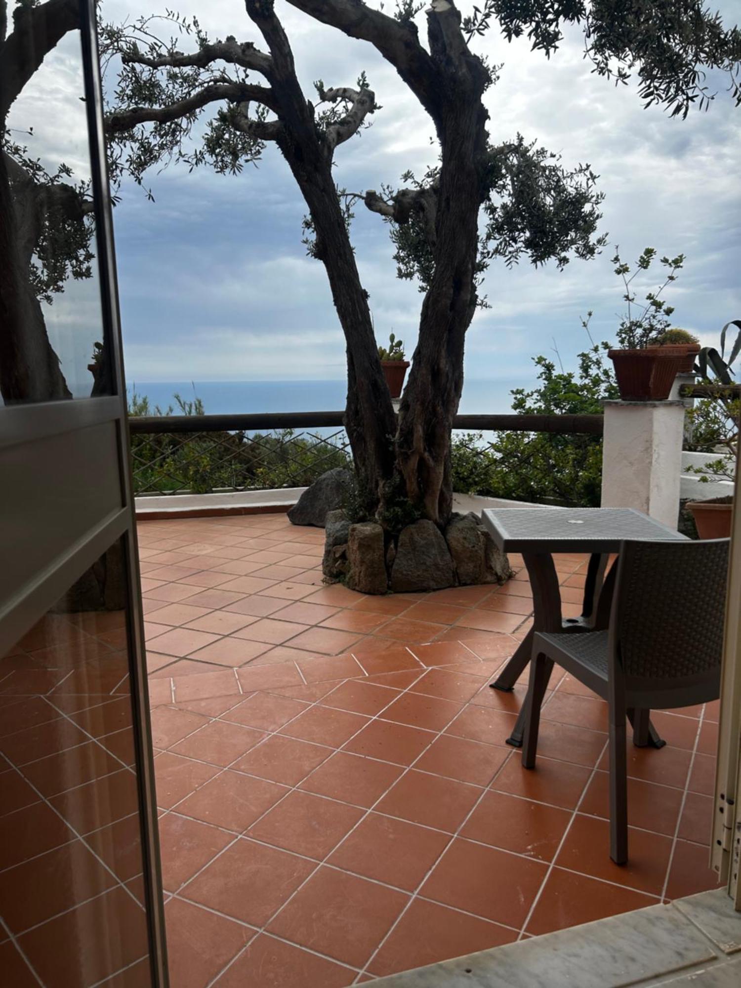 Hotel Punto Azzurro Forio di Ischia Εξωτερικό φωτογραφία